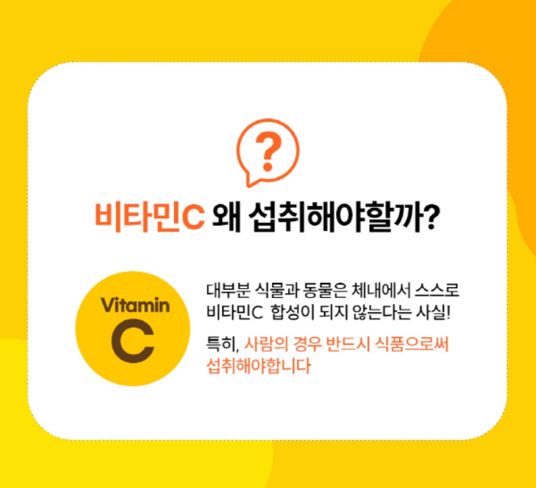 어린이비타민C 분말 효능 비타민씨 가루 비타민시 아스코르브산 - 상세 이미지 4