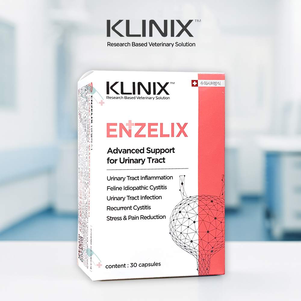클리닉스 엔젤릭스 강아지 고양이 하부요로기계 KLINIX 30캡슐 방광염 - 상품 이미지