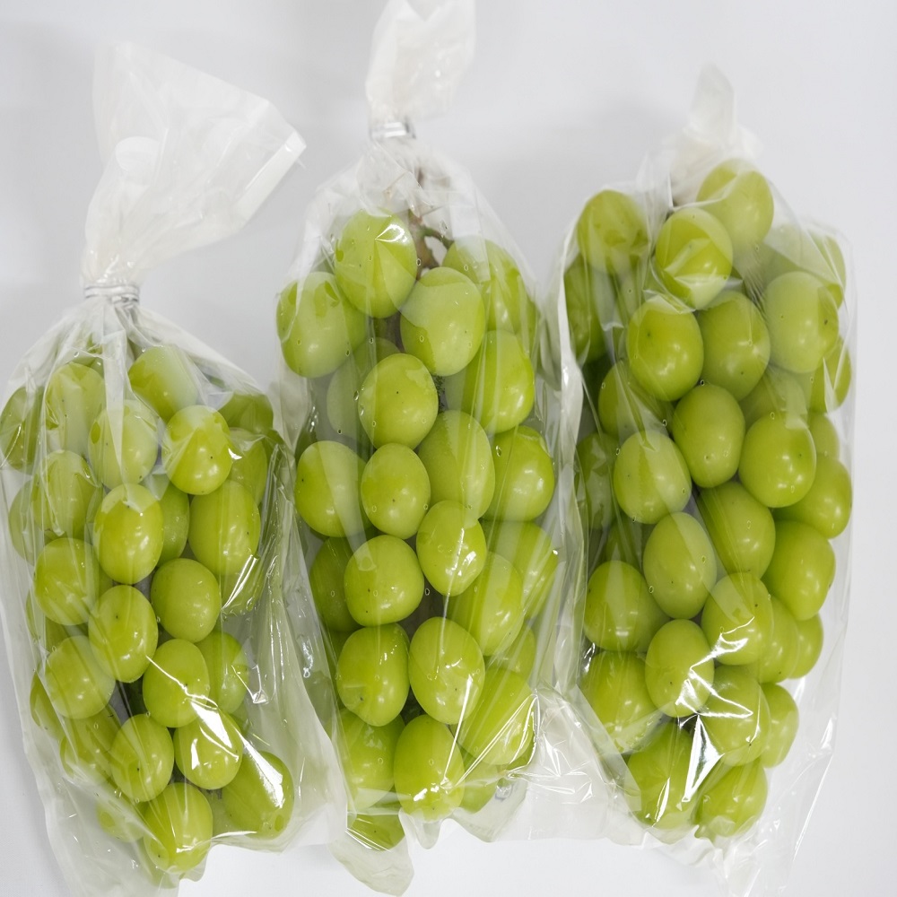 고당도 샤인머스켓 씨없는 청포도 2kg 4kg - 상세 이미지 3