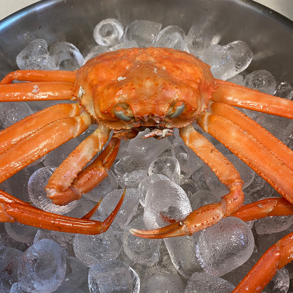 구룡표 자숙홍게 라면용 홍게살 국물용 육수용 홍게 라면 토핑 3kg, 1개 - 상세 이미지 4