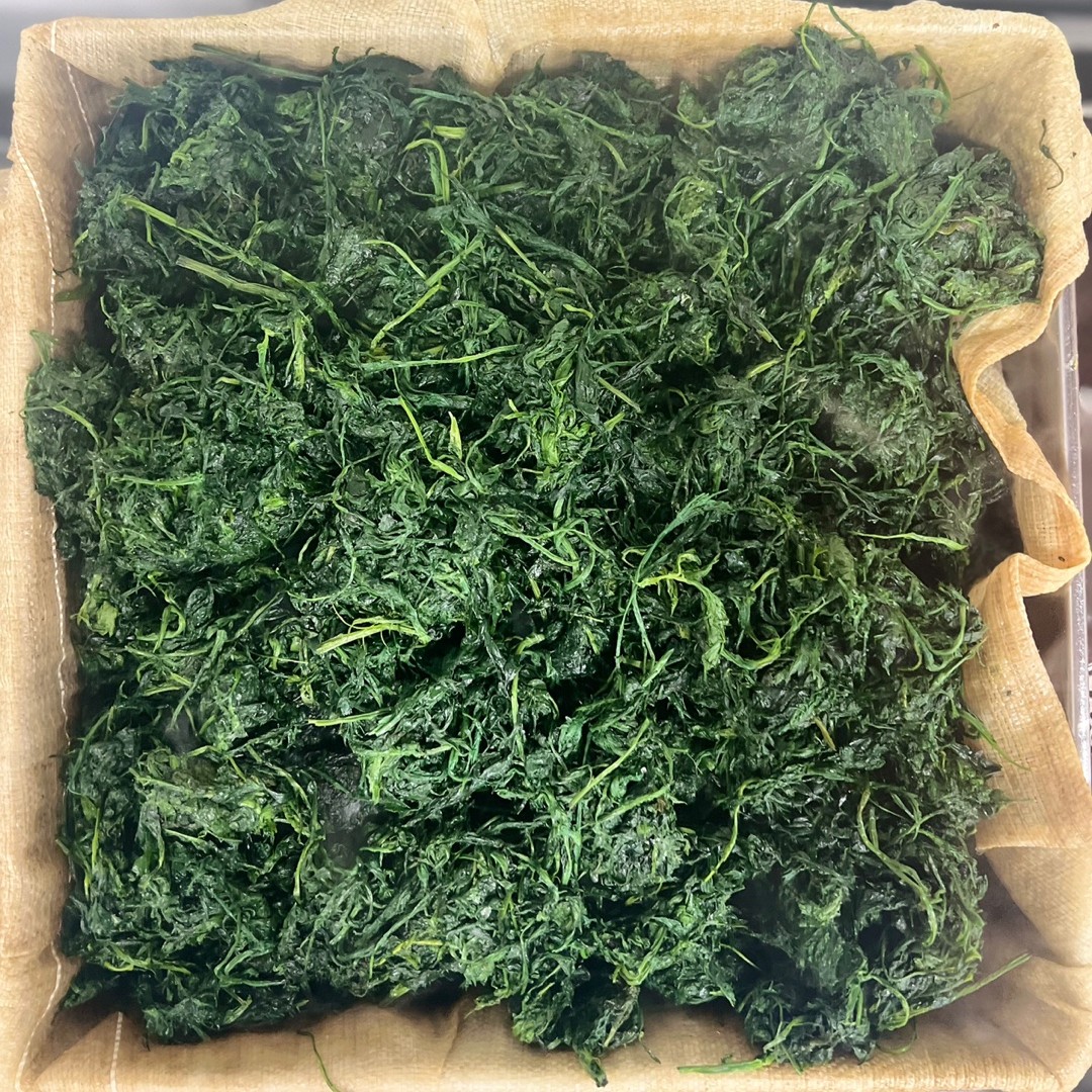 제철밥상 진도 쑥향이 가득한 쑥떡인절미 1.5kg 이미지 8