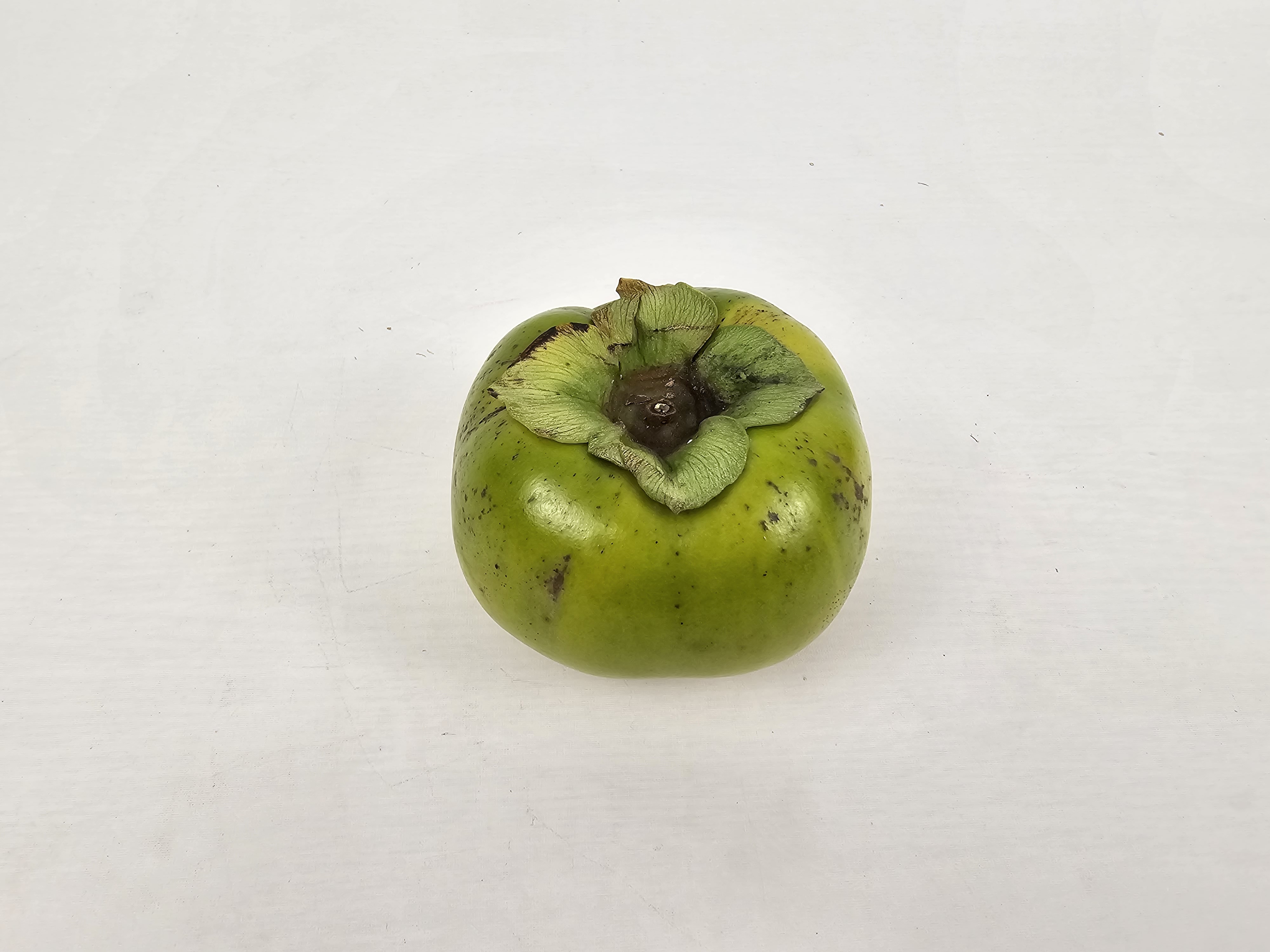 신선마켓 태추단감 햇 땡감 소과, 3kg, 1개 - 상세 이미지 5