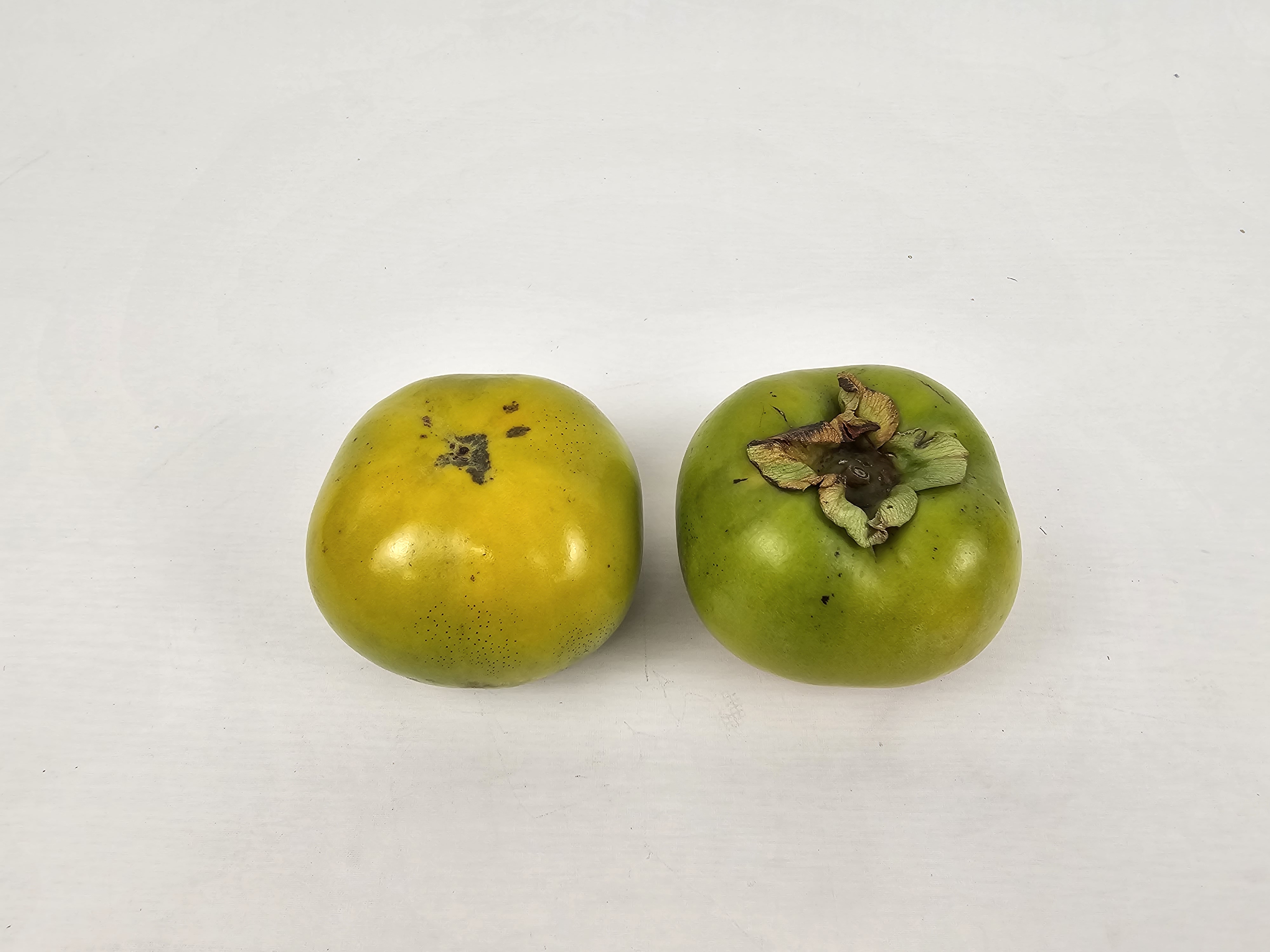 신선마켓 태추단감 햇 땡감 소과, 3kg, 1개 이미지 6