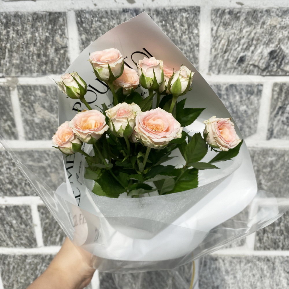 생화 장미 꽃다발 (연한장미 4~6송이) 선물 꽃배달싼곳 이미지 7