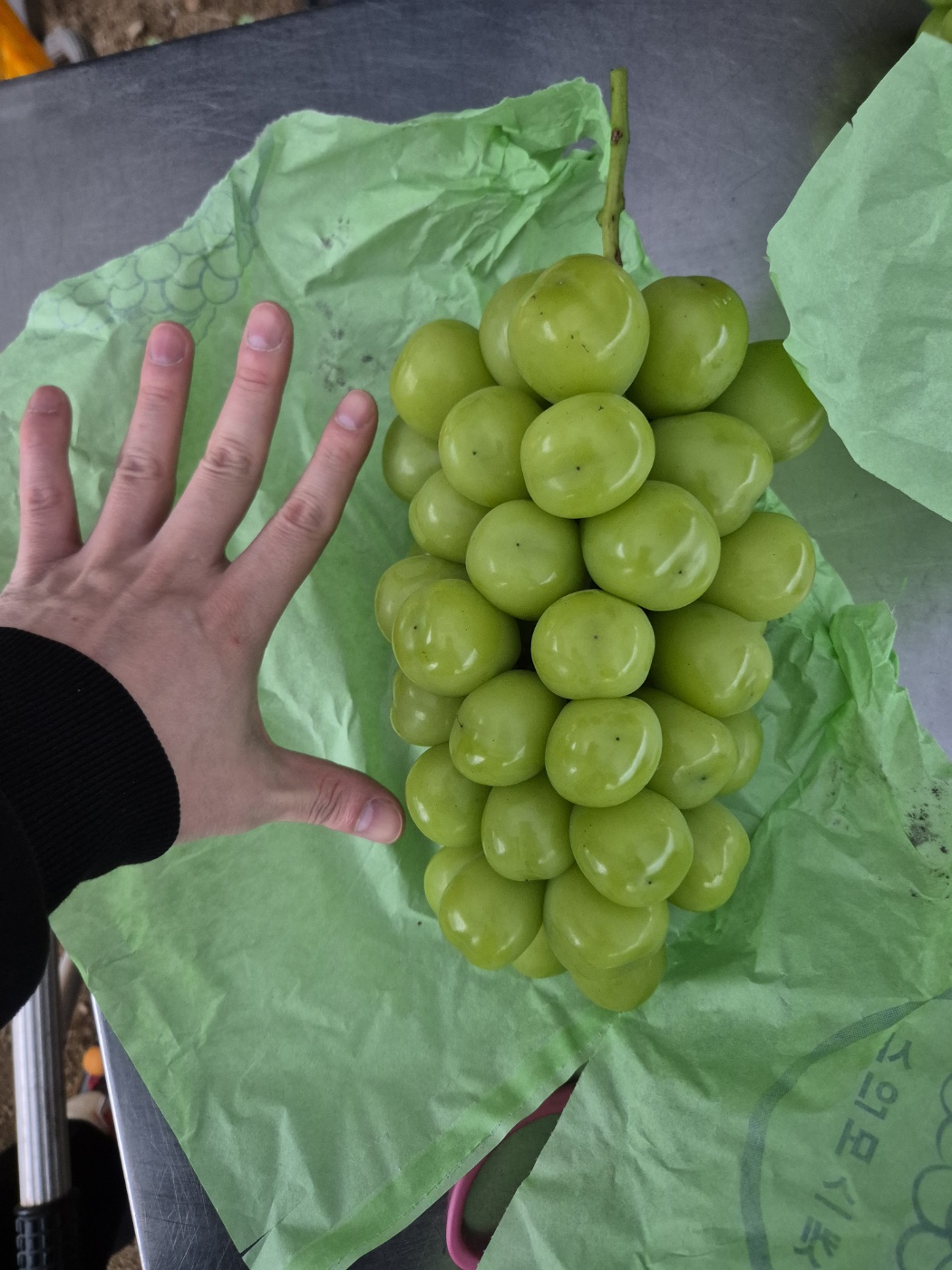 고당도 상주 샤인머스켓 2kg 망고 포도 특품 선물용 가정용 농장직영 - 상세 이미지 4