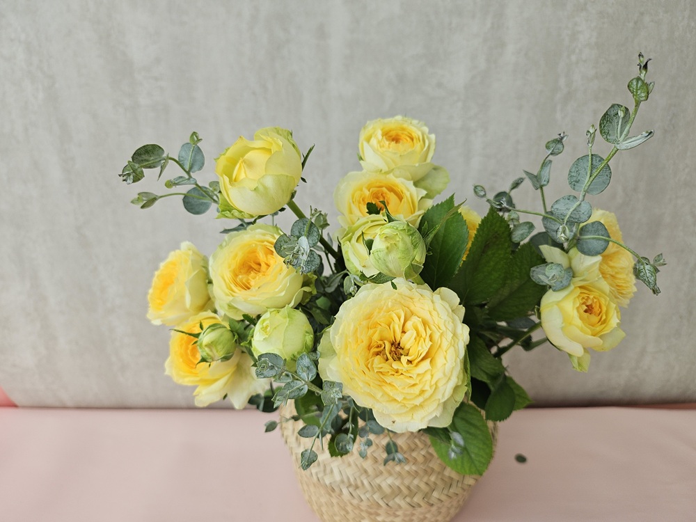 유스풀몰 카탈리나한다발 꽃배달싼곳 꽃다발 생화 택배 이미지 3