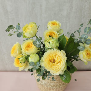 유스풀몰 카탈리나한다발 꽃배달싼곳 꽃다발 생화 택배 솔직 후기 | 실사용자 리뷰 분석 - 상품 이미지 3