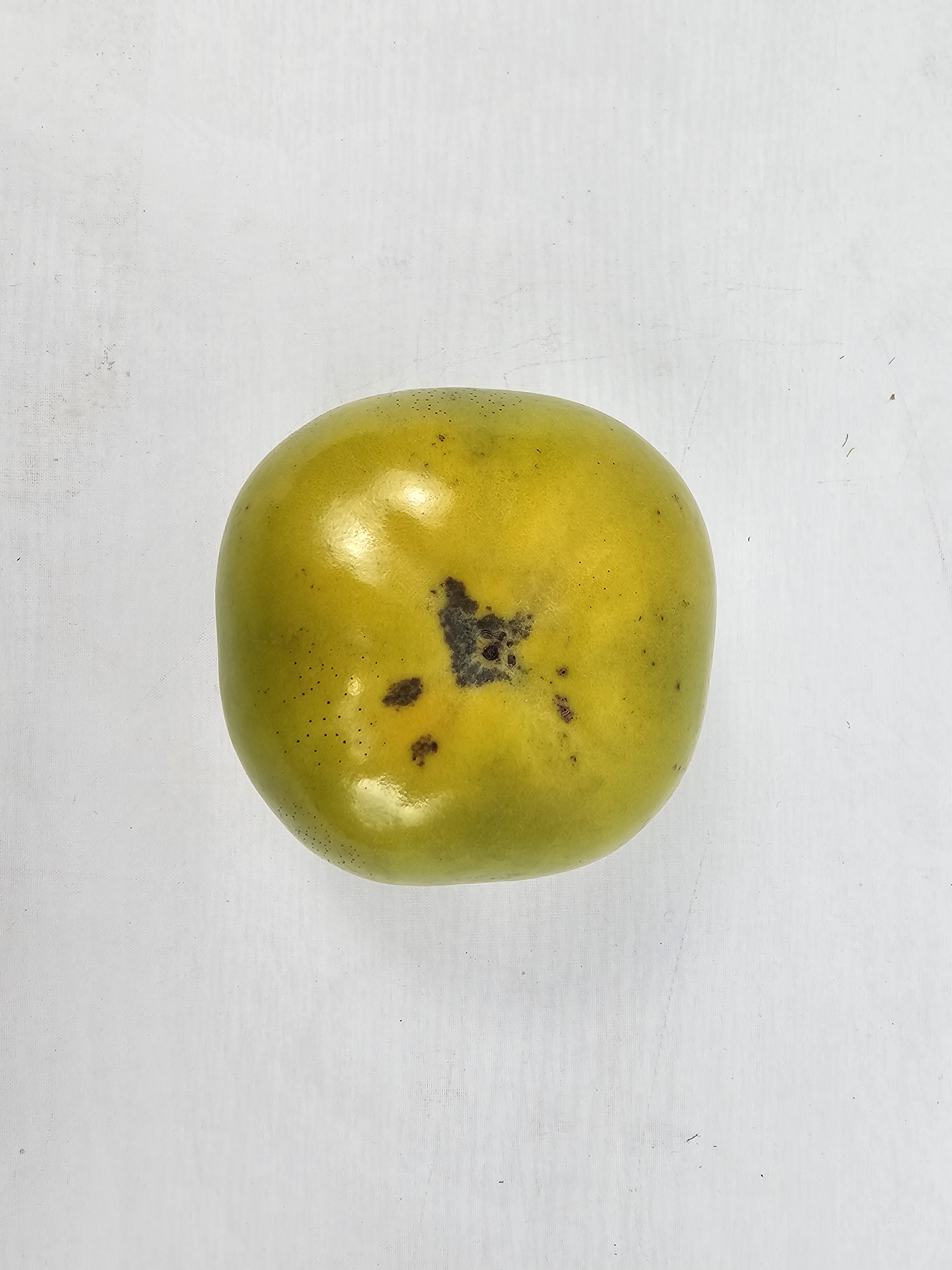 신선마켓 태추단감 햇 땡감 소과, 3kg, 1개 - 상세 이미지 3