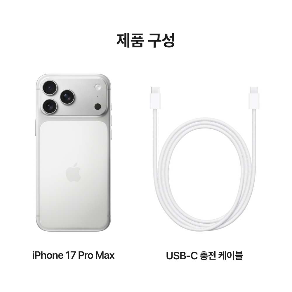 애플 아이폰 17 프로 맥스 자급제 2TB, 실버 상품 이미지