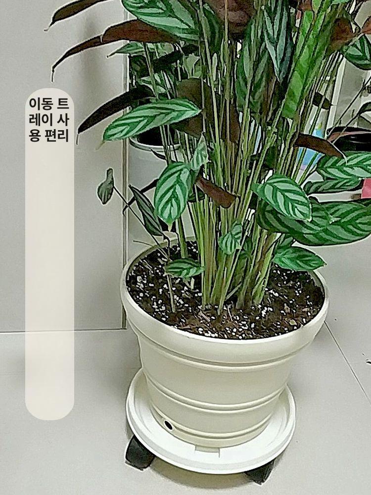 대형 화분 튼튼한 분갈이 가정용 상추키우기 조경 다라이 옥상 텃밭 다용도 베란다 정원 14번 27L 41.7cm 브라운 레진 단일 화분 - 상세 이미지 5
