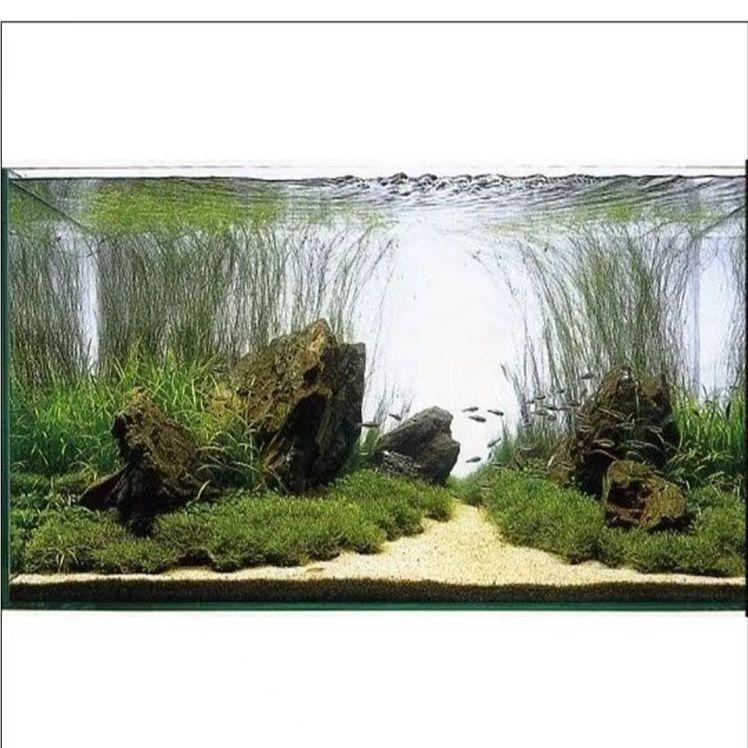 라이트백 스크린 백라이트 백스크린 어항 LED 수족관 90x45cm 고휘도 화이트 - 상세 이미지 5