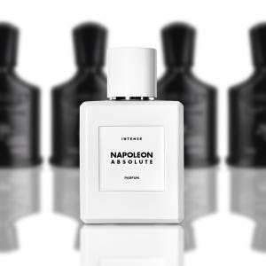 나폴레옹 앱솔루트 50ml 인텐스 니치향수 052 NAPOLEON ABS... 솔직 후기 | 피부 타입별 분석 - 상품 이미지 3