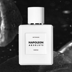 나폴레옹 앱솔루트 50ml 인텐스 니치향수 052 NAPOLEON ABS... 솔직 후기 | 피부 타입별 분석 - 상품 이미지 1