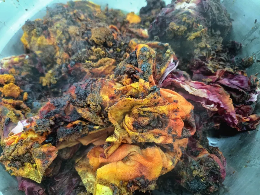 [보호자 무료입장] 경기 여주 농촌 가족 농장체험 나만의 천연염색 스카프 만들기  by 천연빛깔수작(주) - 상세 이미지 5