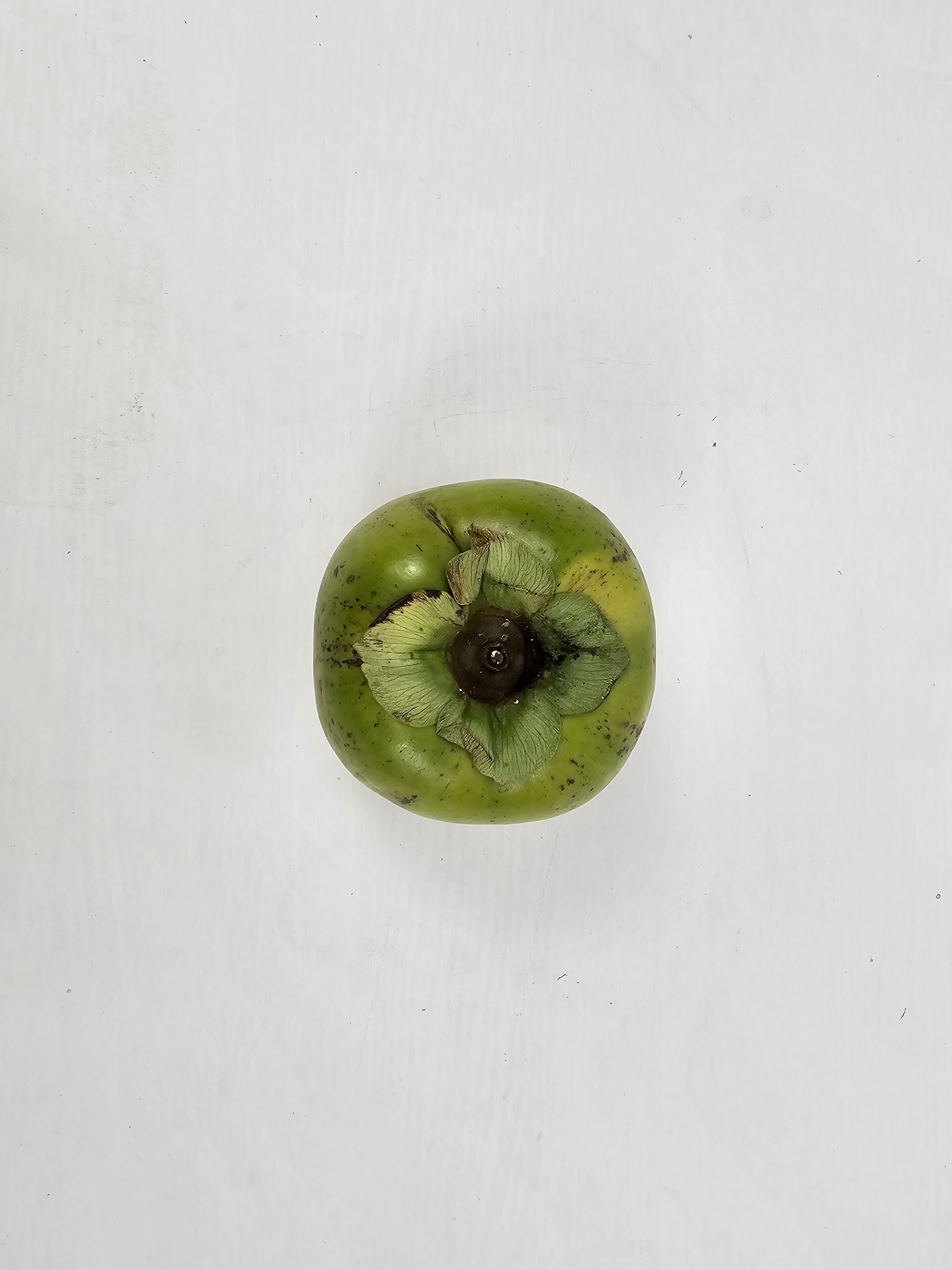 신선마켓 태추단감 햇 땡감 소과, 3kg, 1개 - 상세 이미지 2