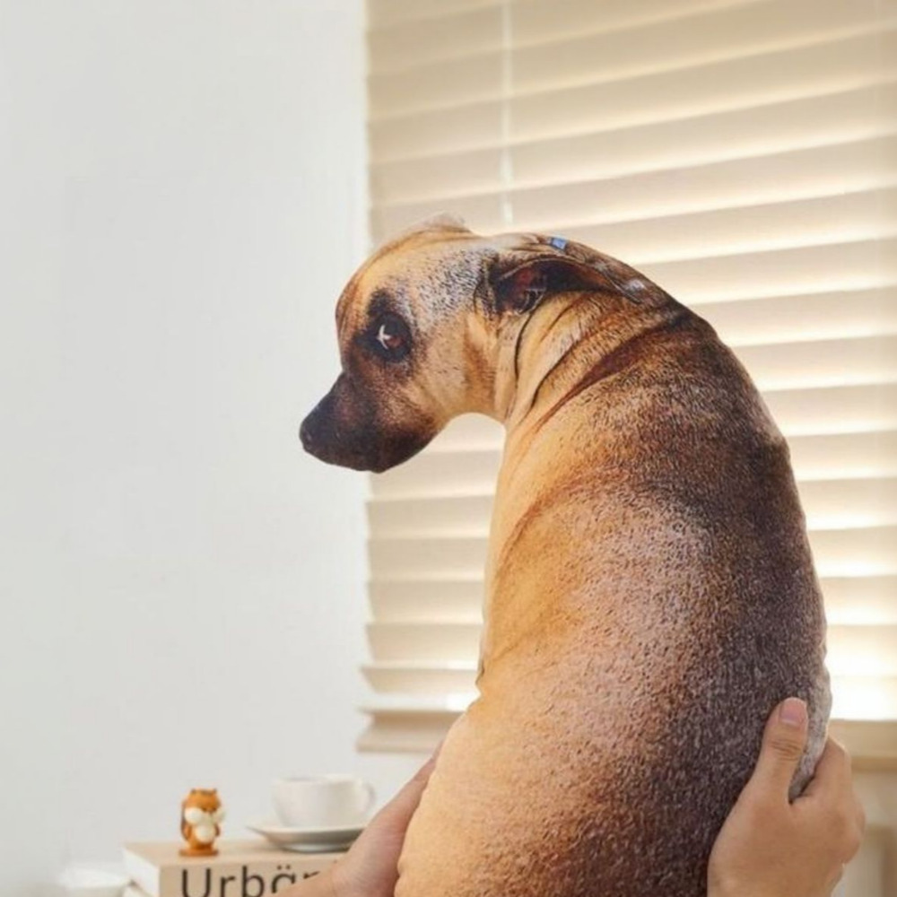 빌리네집 쭈글이 개인형 의기소침 댕댕이 강아지 인형 - 상세 이미지 3