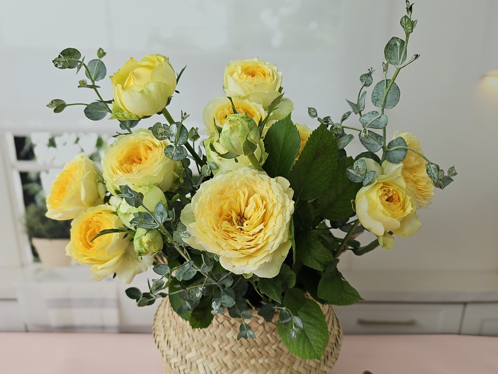 유스풀몰 카탈리나한다발 꽃배달싼곳 꽃다발 생화 택배 이미지 4