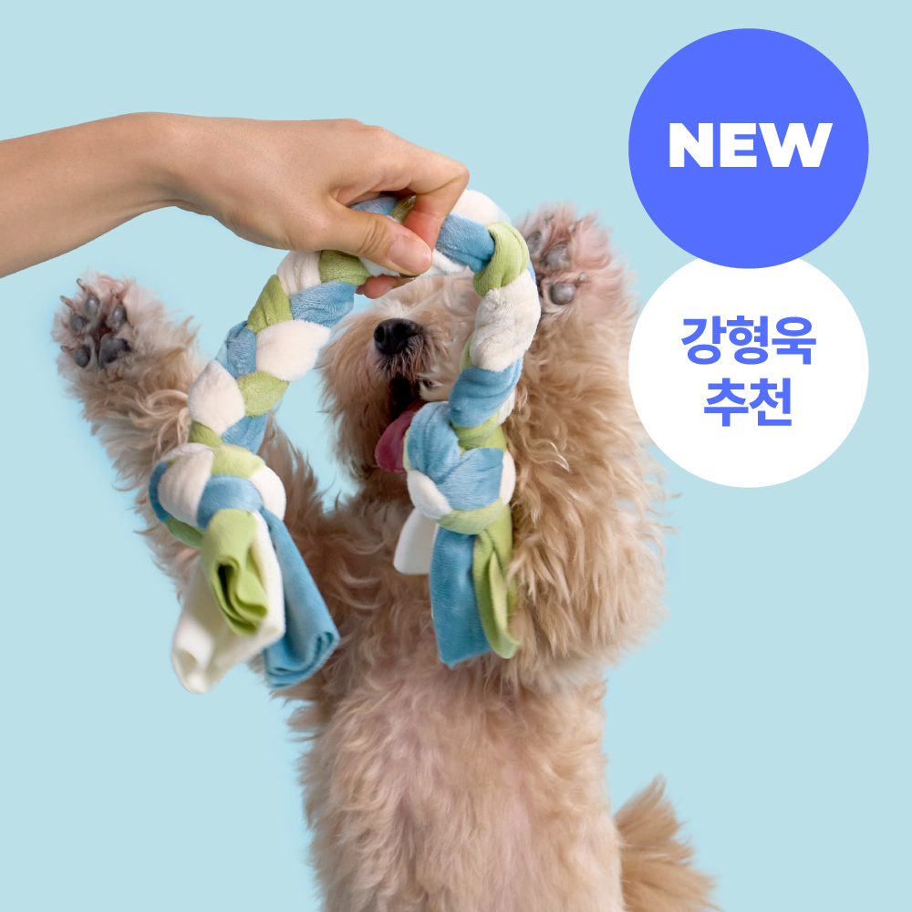 [강형욱X퍼피즈] 애착집착 터그 훈련 장난감 이미지 3