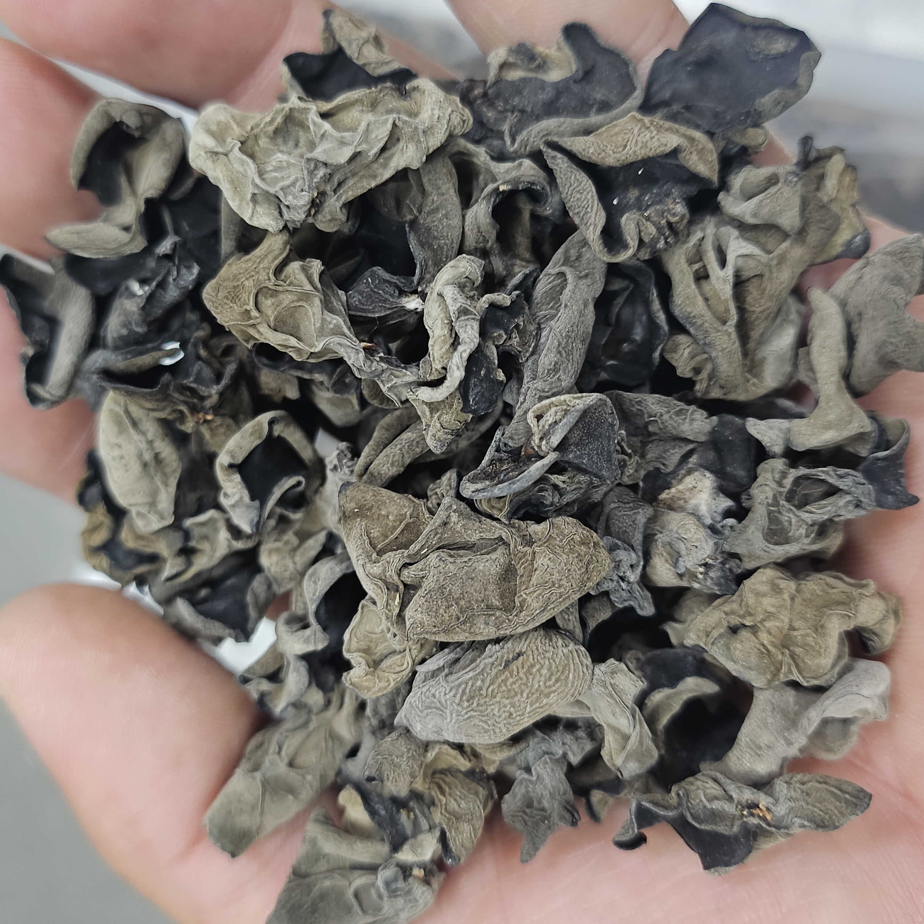 바다안 건 표고 목이 한입목이 버섯 1kg 마른 말린 통 슬라이스 - 상세 이미지 4