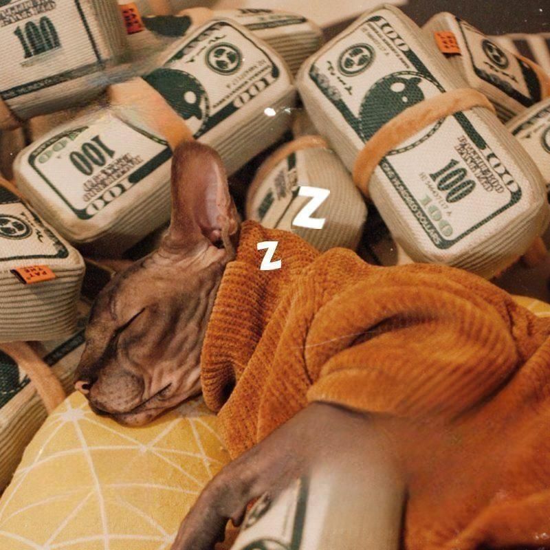 고양이 장난감 돈뭉치 쿠션 베개 애묘장난감 캣토이 애완용품 - 상세 이미지 4