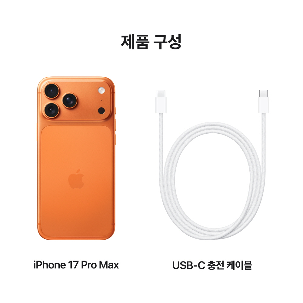 애플 아이폰 17 프로 맥스 자급제 2TB, 코스믹 오렌지 상품 이미지