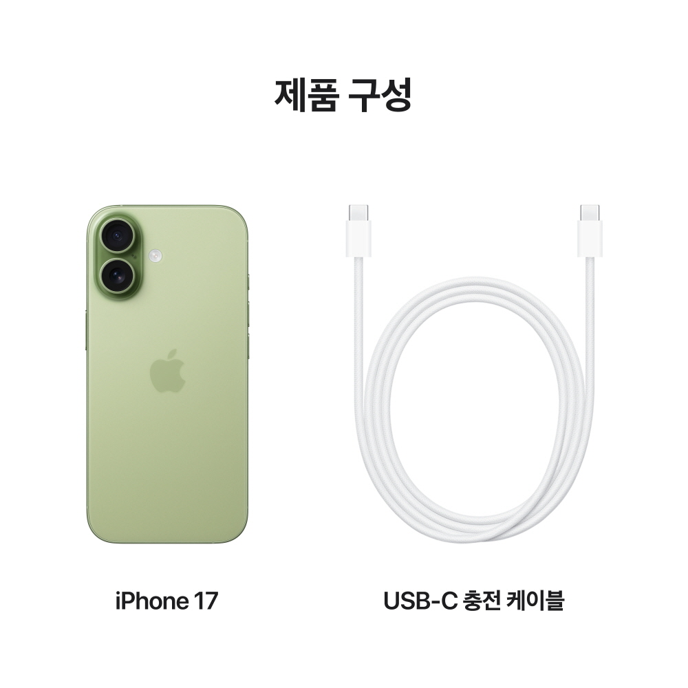 아이폰 자급제 아이폰 256GB 세이지 색상 아이폰 사용후기 아이폰 구매팁