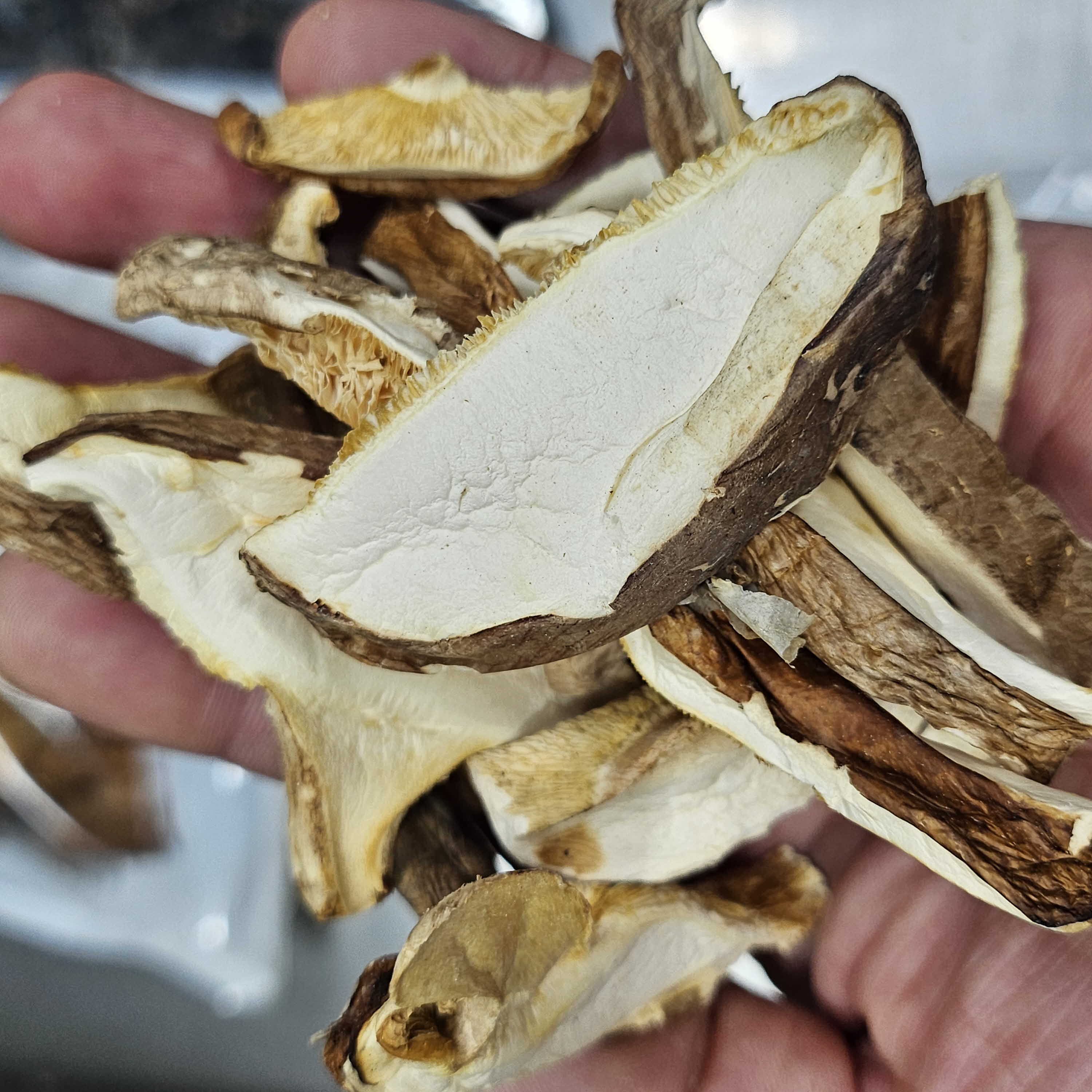 바다안 건 표고 목이 한입목이 버섯 1kg 마른 말린 통 슬라이스 - 상세 이미지 2