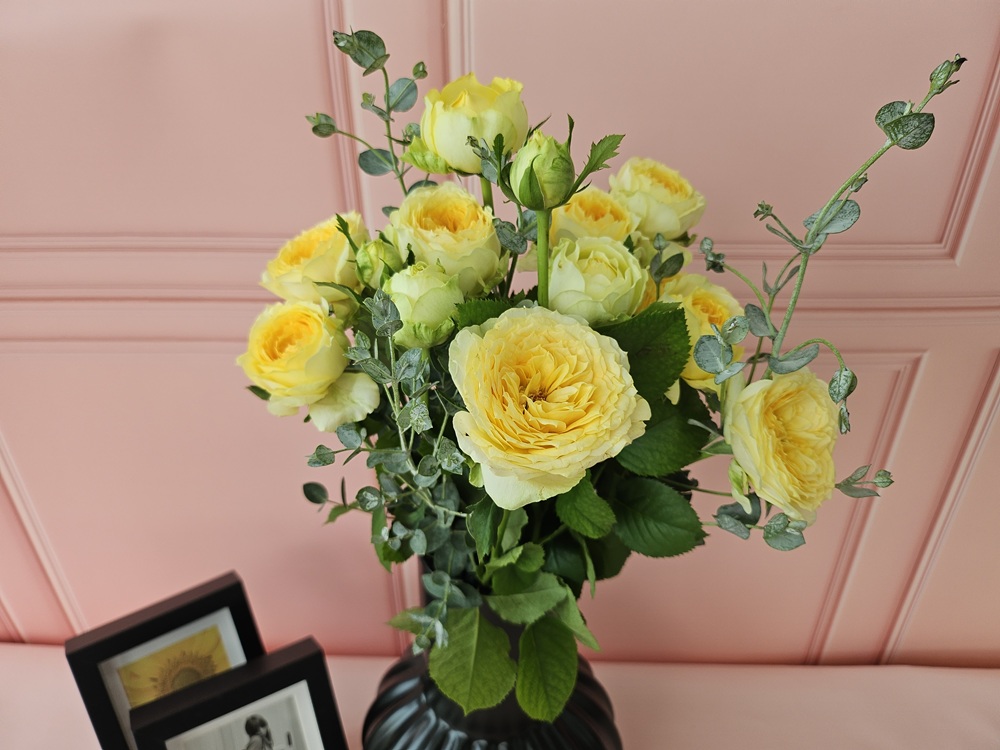 유스풀몰 카탈리나한다발 꽃배달싼곳 꽃다발 생화 택배 이미지 2