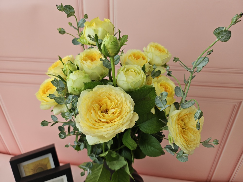 유스풀몰 카탈리나한다발 꽃배달싼곳 꽃다발 생화 택배 솔직 후기 | 실사용자 리뷰 분석 - 대표 이미지