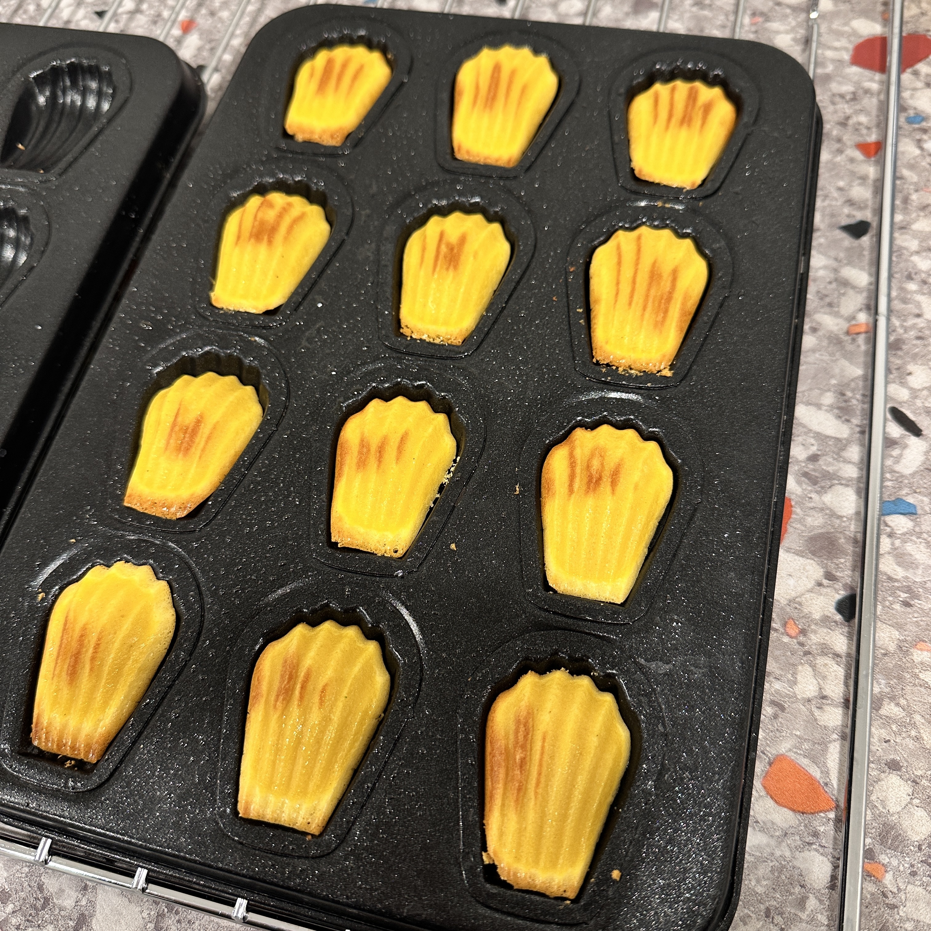 댕심당 강아지 수제 간식 댕마들렌 5p 무방부제 무첨가물 건강 애견간식 핸드메이드 - 상세 이미지 3