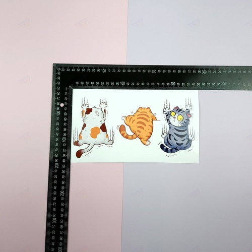 차량 고양이 스티커 흠집 기스 스크래치 범퍼 문콕 이미지 7