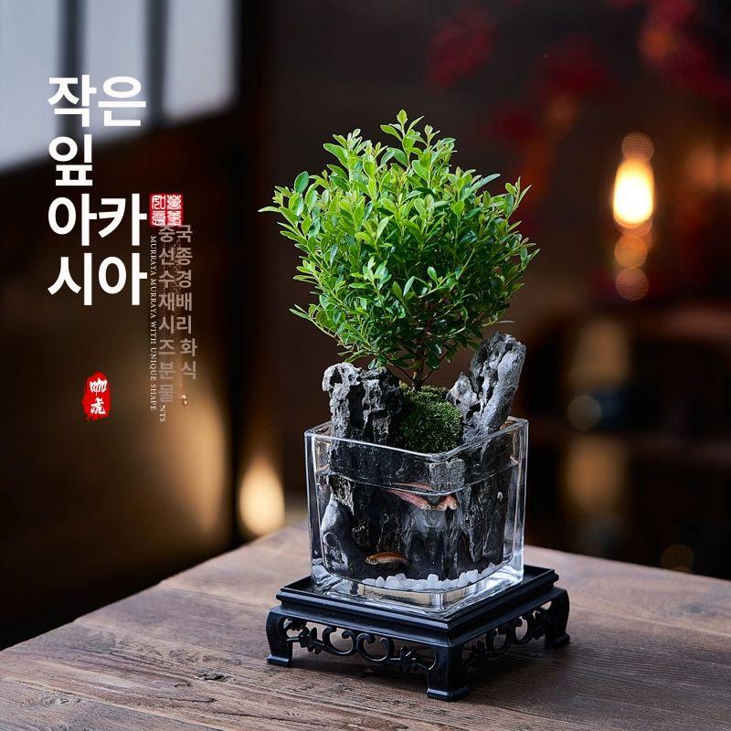 모심는기계 전동 이앙기 모종 농사 벼이삭기 쌀 심기 리틀리프 레드 난+8x8 스톤 - 상세 이미지 2