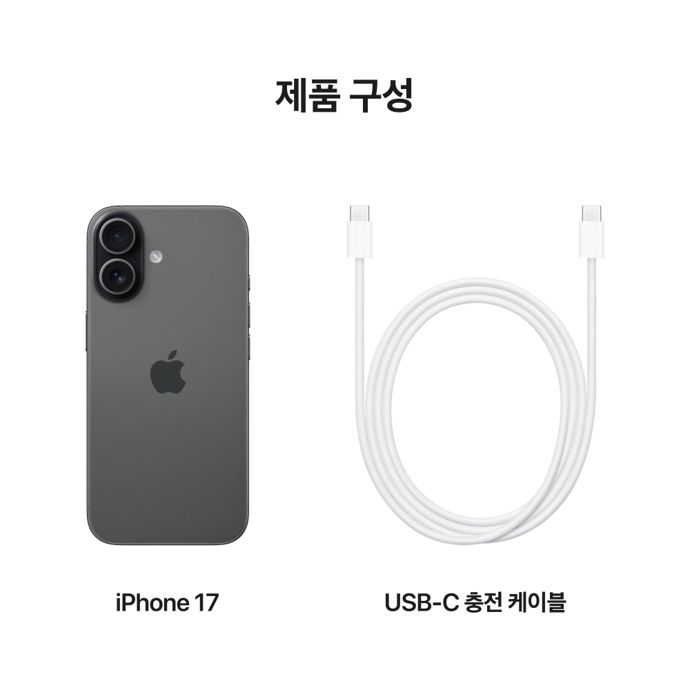 애플 아이폰 17 자급제 256GB, 블랙 상품 이미지