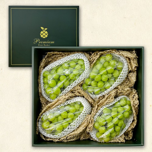 유명산지 샤인머스켓 이색포도 선물세트