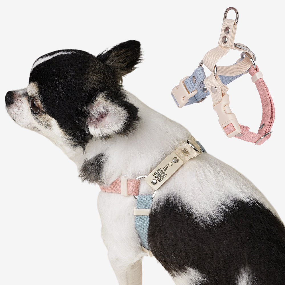 마틴게일 Y형 강아지 인식표 하네스 이름표 가슴줄