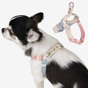 [강아지의날] 마틴게일 Y형 강아지 인식표 하네스 이름표 가슴줄 솔직 후기 | 실제 사용자 리뷰 총정리 - 상품 이미지 1