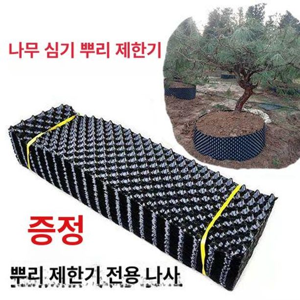 에어포트 화분 마술화분 뿌리보호대 분갈이 텃밭 원예용 나무 뿌리 키우기 소나무 높이 60cm 25m 두께0.7mm - 상세 이미지 3