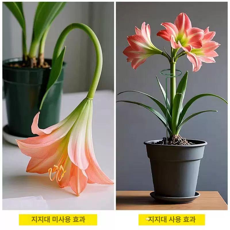 대형 오링지지대 원형식물지지대 넝쿨 고정 텃밭 울타리 지줏대 식물 식물지지대 가드닝 두꺼운 4mm 40cm 꽃 지지대 - 상세 이미지 2