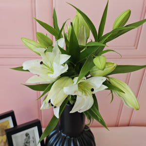 유스풀몰 백합 시베리아 쉐라 3송이 꽃배달 싼곳 생화 택배 솔직 후기 | 실사용자 리뷰 분석 - 상품 이미지 1