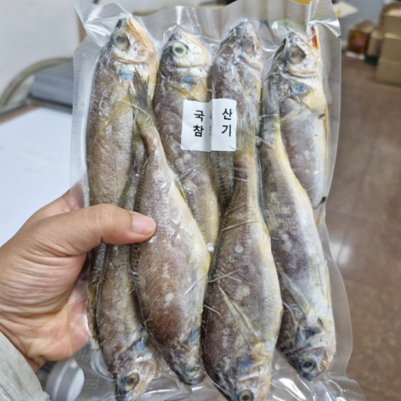 여수 급냉 참조기 1팩 8-10미 500g내외 - 상세 이미지 2
