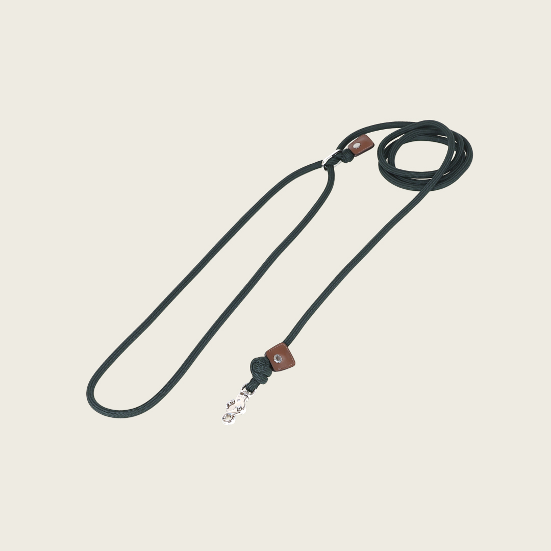 호지 에센셜 핸즈프리 강아지 핸즈프리 리드줄 S 반려견 애견 반려동물 산책줄 리쉬 목줄