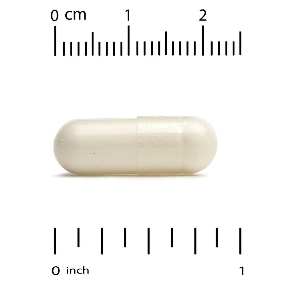 CGN 크레아틴 모노하이드레이트 750mg Creatine 240정 - 상세 이미지 3