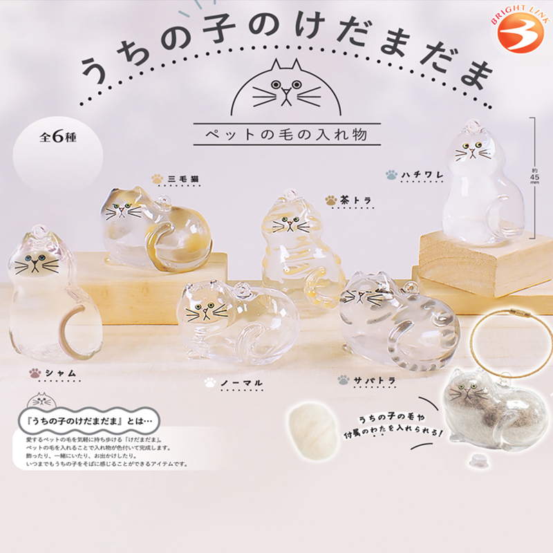 일본 확정가챠 뽑기캡슐 나의 고양이털 피규아 키링 6종세트