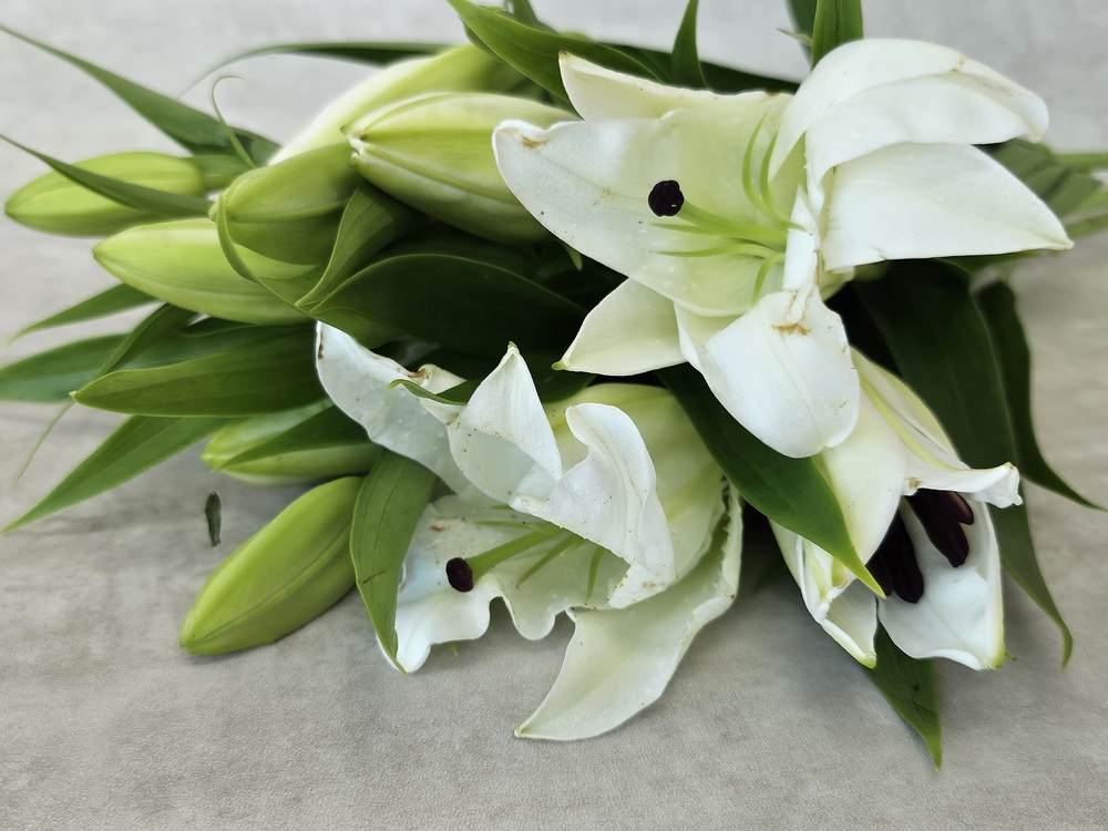 유스풀몰 백합 시베리아 쉐라 3송이 꽃배달 싼곳 생화 택배 이미지 2