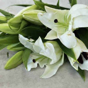 유스풀몰 백합 시베리아 쉐라 3송이 꽃배달 싼곳 생화 택배 솔직 후기 | 실사용자 리뷰 분석 - 상품 이미지 2