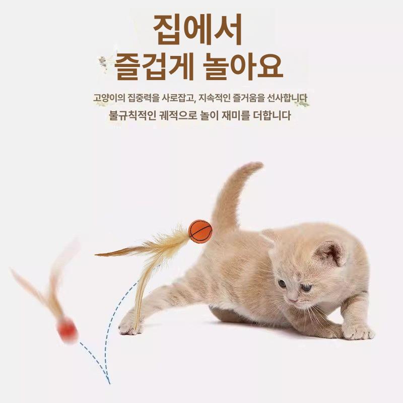 고양이 점프 공 용품 움직이는 오렌지 축구놀이 강아지 실내 대화형 반려묘장난감 삼미호 롤링 치킨 퍼 탄성 공 3개 A - 상세 이미지 3