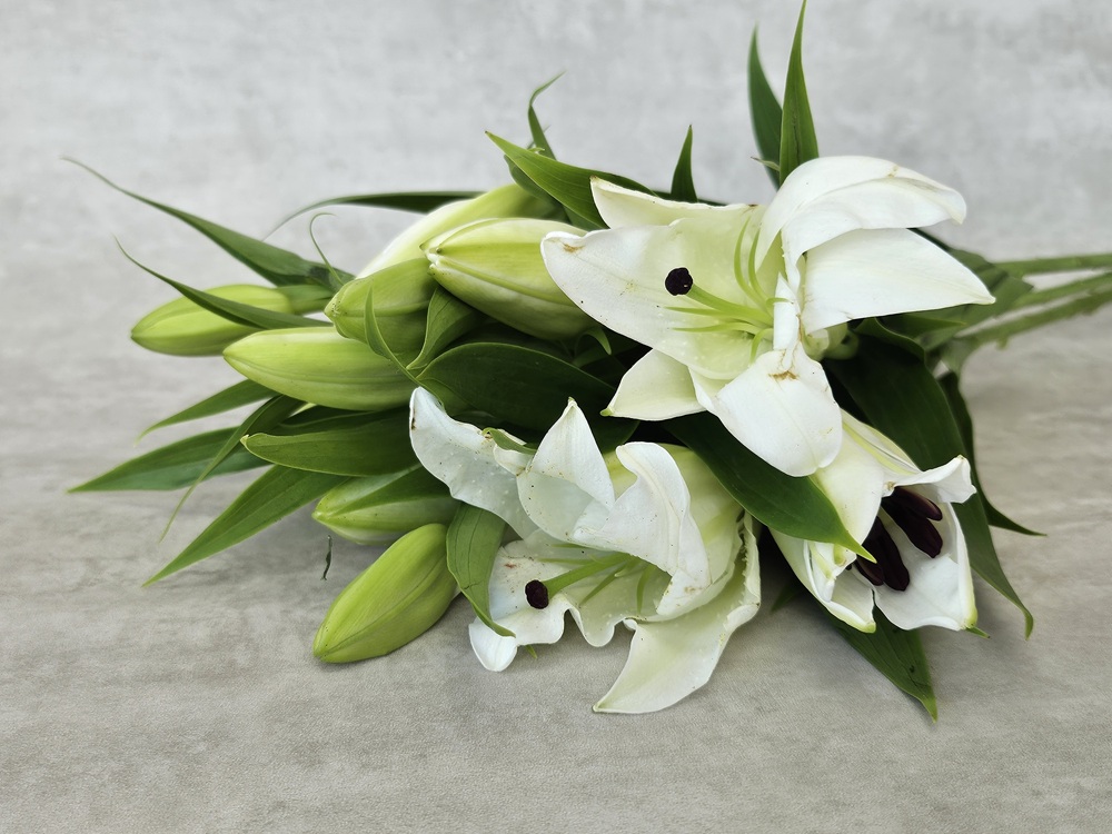 유스풀몰 백합 시베리아 쉐라 3송이 꽃배달 싼곳 생화 택배 이미지 4