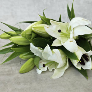 유스풀몰 백합 시베리아 쉐라 3송이 꽃배달 싼곳 생화 택배 솔직 후기 | 실사용자 리뷰 분석 - 상품 이미지 4