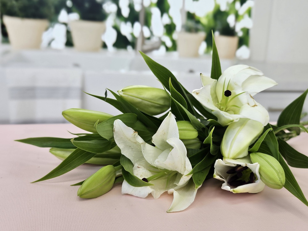 유스풀몰 백합 시베리아 쉐라 3송이 꽃배달 싼곳 생화 택배 이미지 3