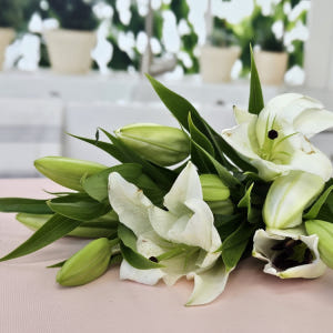 유스풀몰 백합 시베리아 쉐라 3송이 꽃배달 싼곳 생화 택배 솔직 후기 | 실사용자 리뷰 분석 - 상품 이미지 3